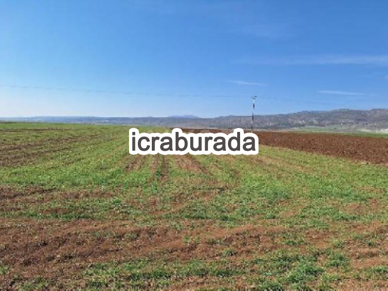 icralık  m2 Tarla Eskişehir Tepebaşı Beyazaltin