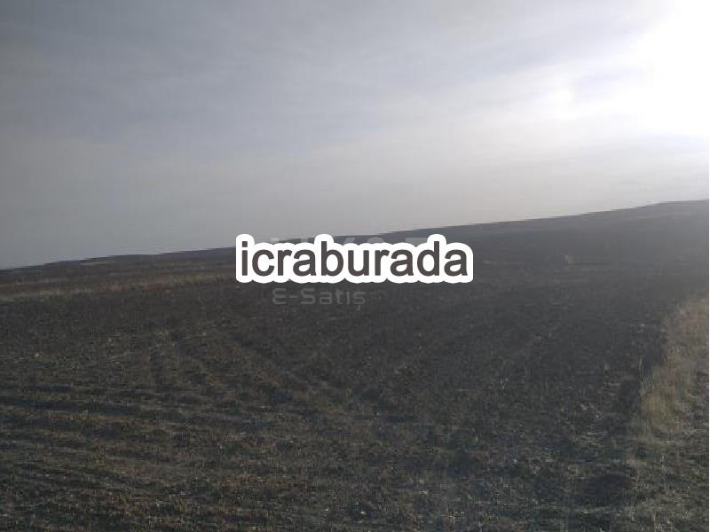 icralık  m2 Tarla Yozgat Merkez Karga