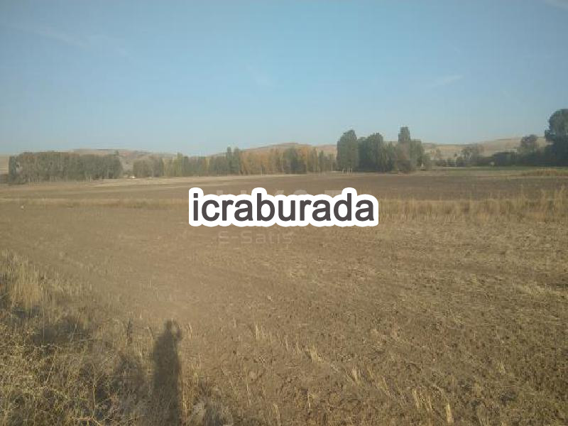 icralık  m2 Tarla Yozgat Merkez Karabiyik