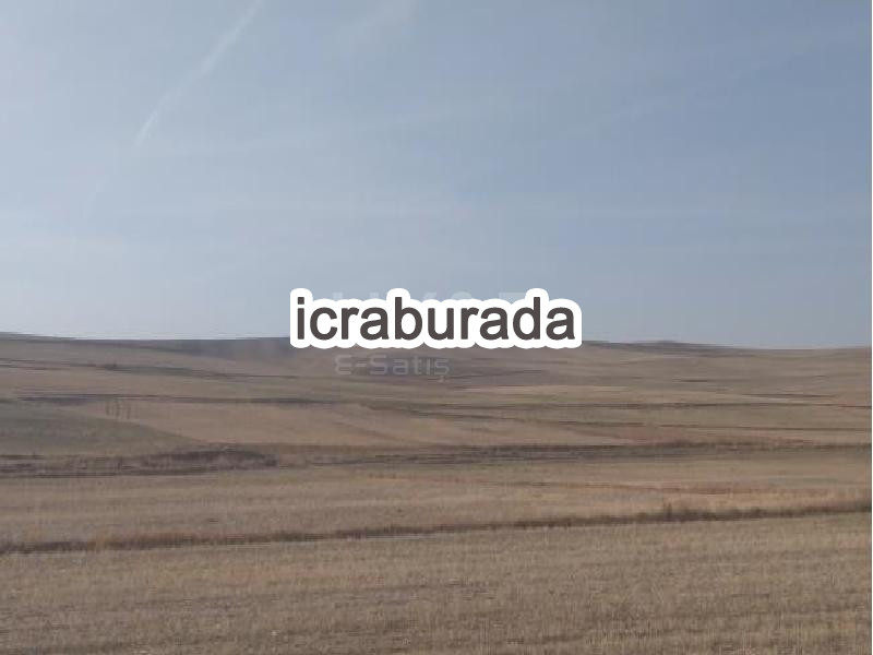 icralık  m2 Tarla Yozgat Merkez Karabiyik