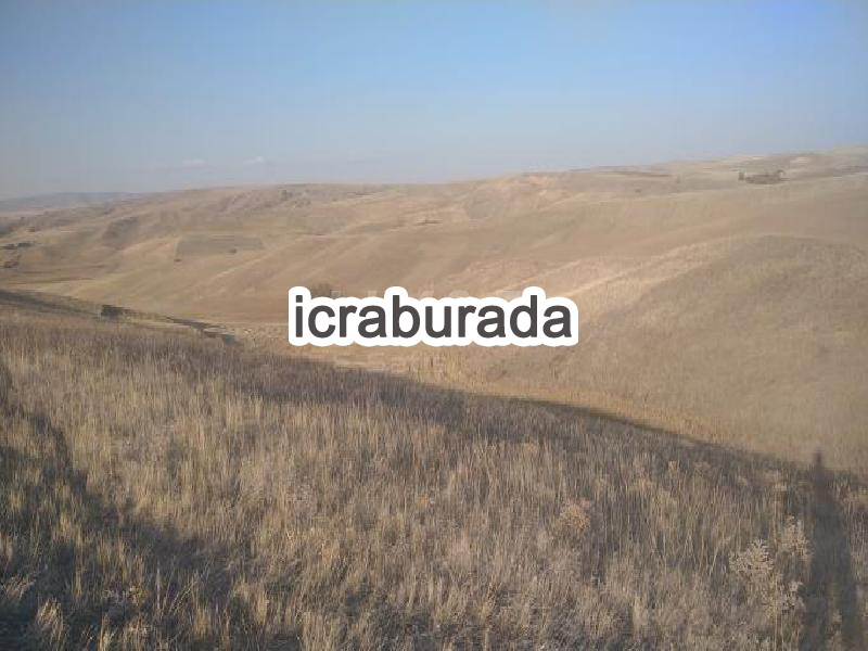icralık  m2 Tarla Yozgat Merkez Battal