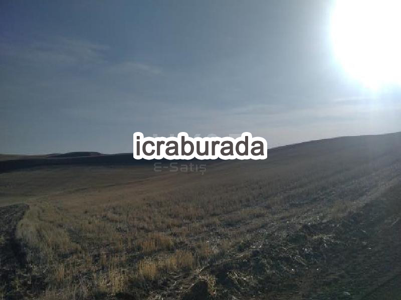 icralık  m2 Tarla Yozgat Merkez Battal