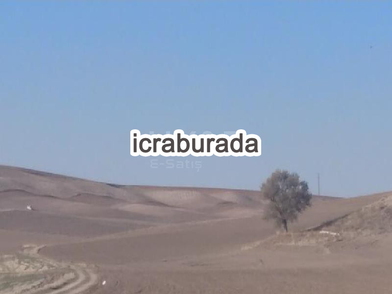 icralık  m2 Tarla Yozgat Merkez Özlüce
