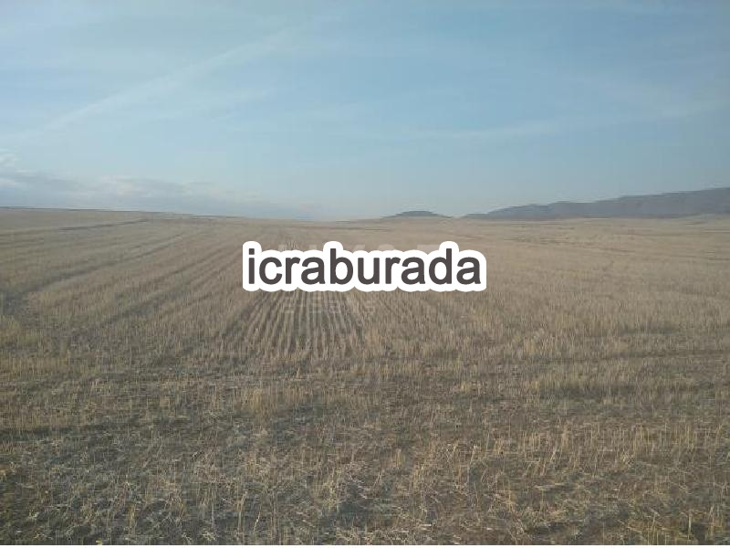 icralık  m2 Tarla Yozgat Merkez Karga