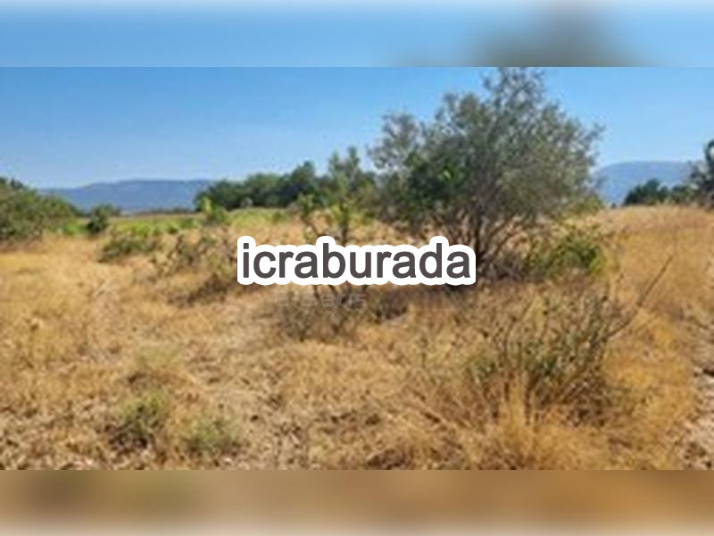 icralık  m2 Bag Uşak Sivaslı Selçikler/yildiztepe