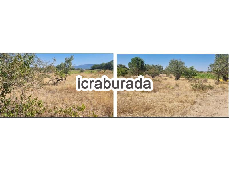 icralık  m2 Tarla Belirtilmedi Belirtilmedi Belirtilmedi