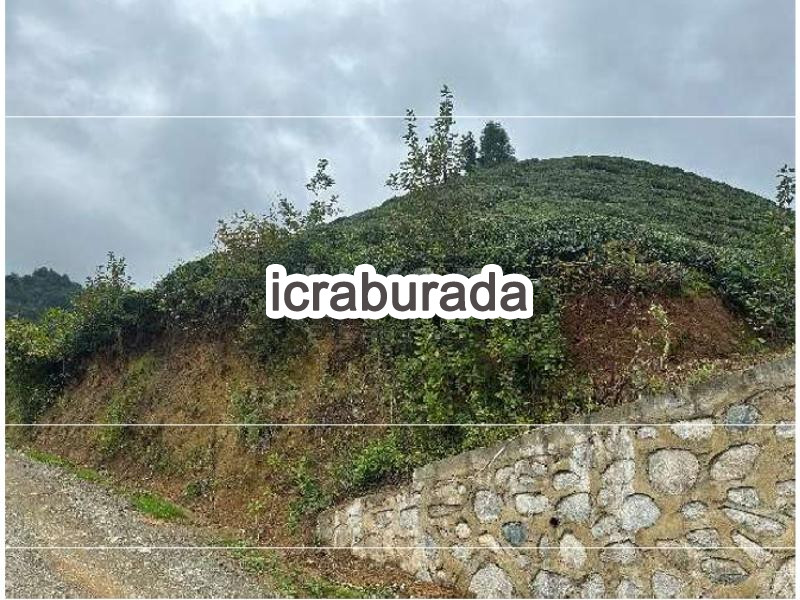 icralık  m2 Tarla Rize Merkez Kömürcüler
