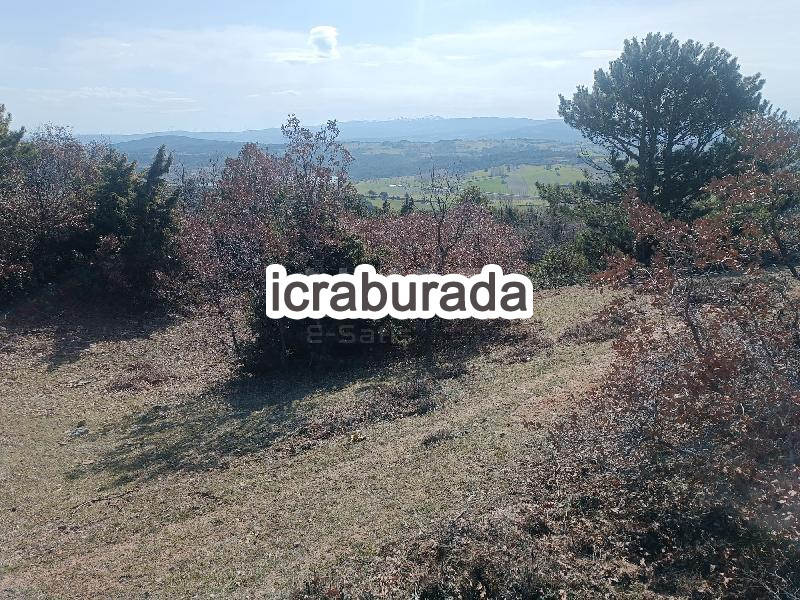 icralık  m2 Tarla Uşak Banaz Bahadir
