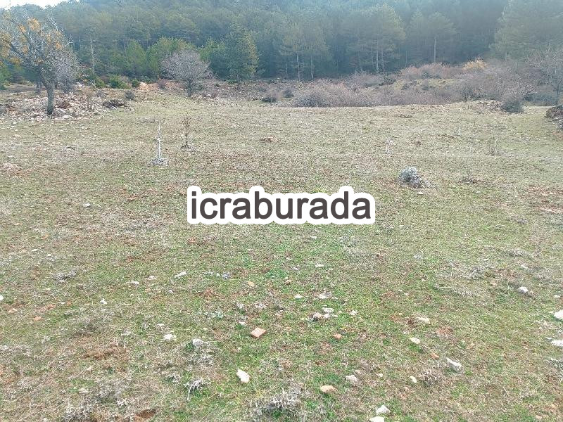 icralık  m2 Tarla Uşak Banaz Bahadir