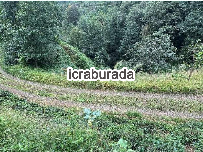 icralık  m2 Tarla Rize Merkez Kömürcüler