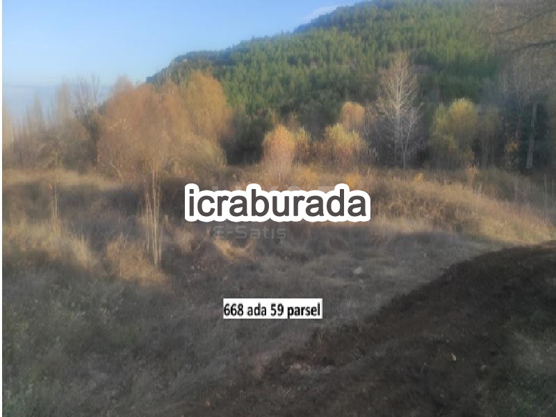 icralık  m2 Tarla Denizli Acıpayam Alaattin