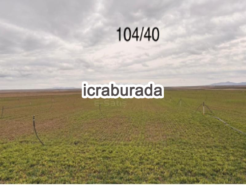 icralık  m2 Tarla Konya Yunak Yavaşli