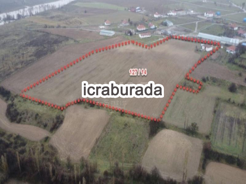 icralık  m2 Tarla Sivas Şarkışla Bozkurt