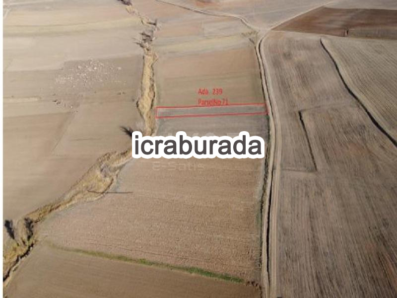icralık  m2 Tarla Yozgat Boğazlıyan Uzunlu/esentepe