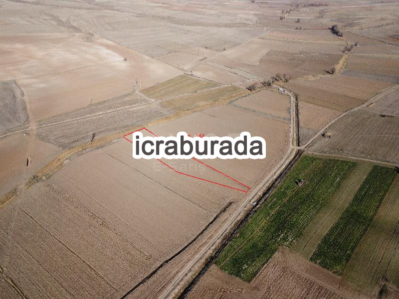 icralık  m2 Tarla Yozgat Boğazlıyan Uzunlu/esentepe