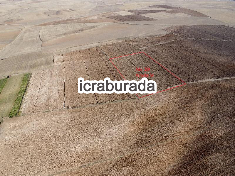 icralık  m2 Tarla Yozgat Boğazlıyan Uzunlu/esentepe