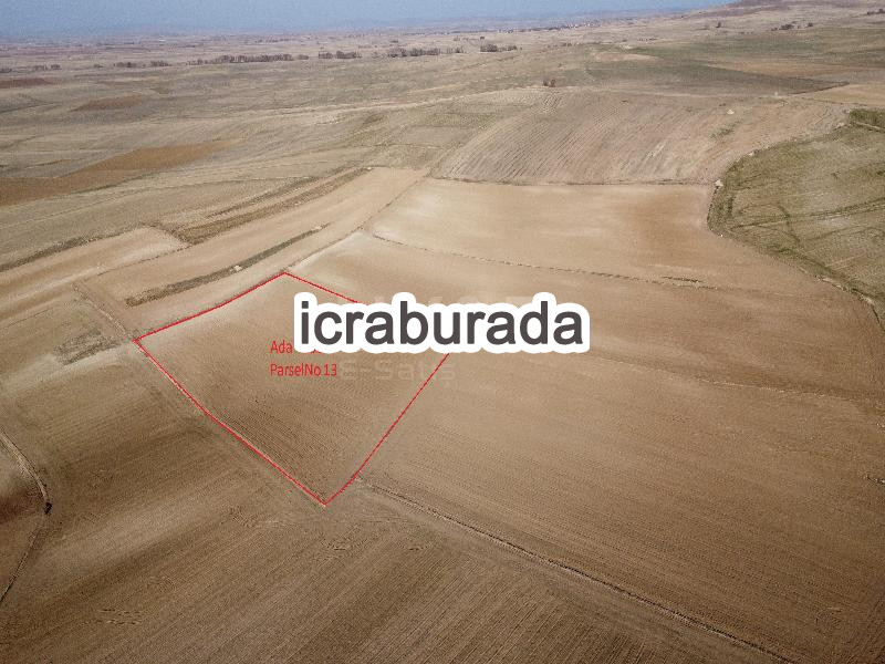 icralık  m2 Tarla Yozgat Boğazlıyan Uzunlu/kemaliye