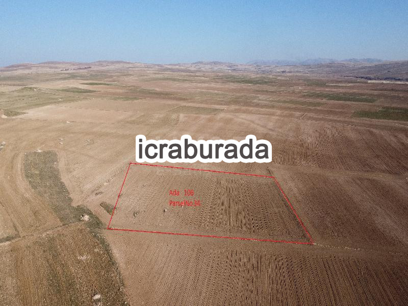 icralık  m2 Tarla Yozgat Boğazlıyan Uzunlu/kemaliye