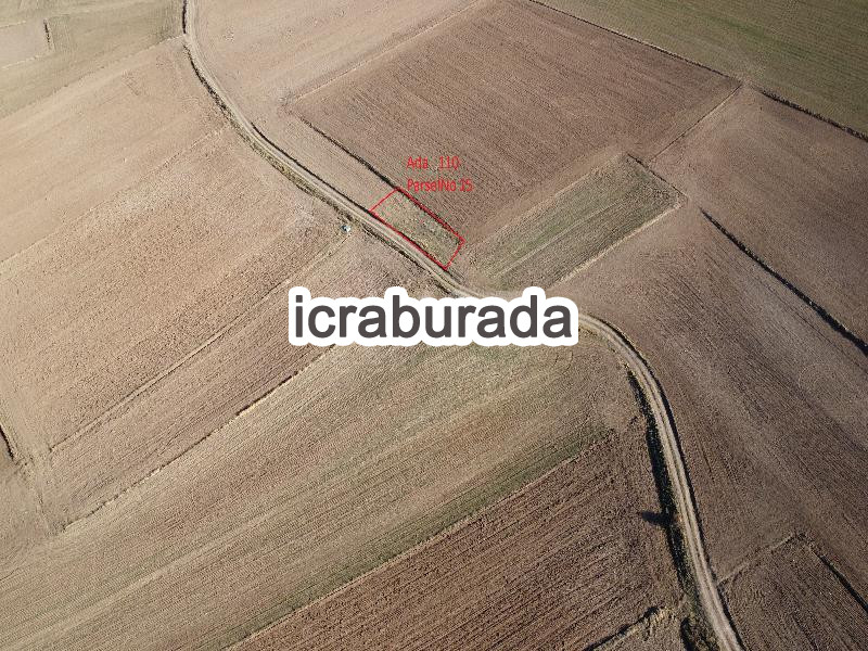 icralık  m2 Tarla Yozgat Boğazlıyan Uzunlu/kemaliye
