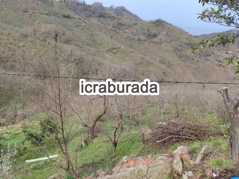icralık  m2 Bag Ordu Fatsa Yaliköy