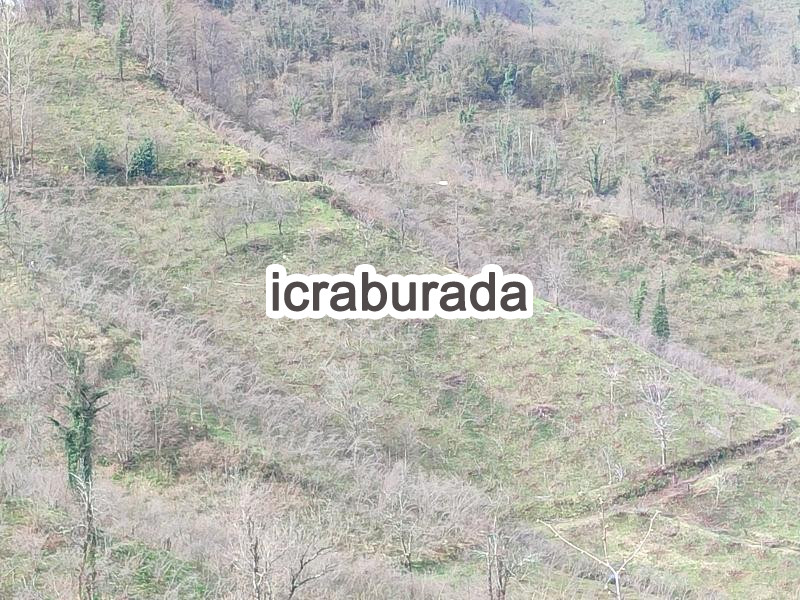 icralık  m2 Bag Ordu Fatsa Yaliköy