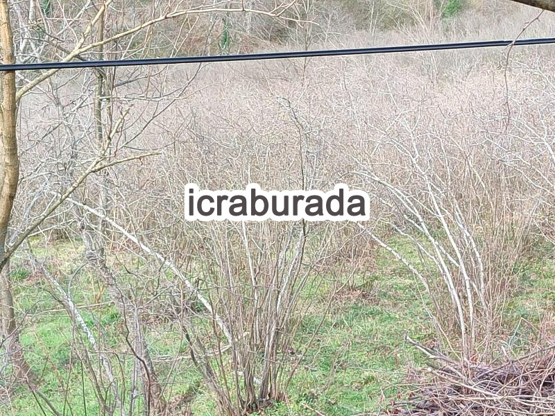 icralık  m2 Diger Ordu Fatsa Yaliköy