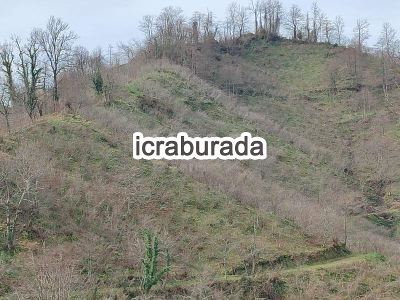 icralık  m2 Diger Ordu Fatsa Yaliköy