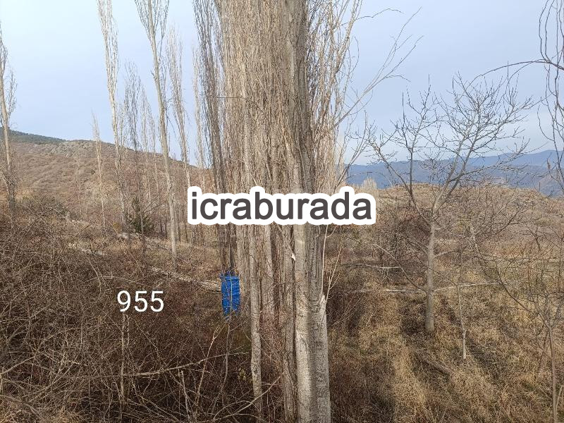 icralık  m2 Tarla Çorum Laçin Büyüklaçin