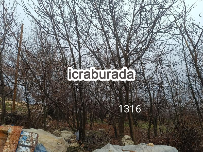 icralık  m2 Diger Çorum Laçin Büyüklaçin