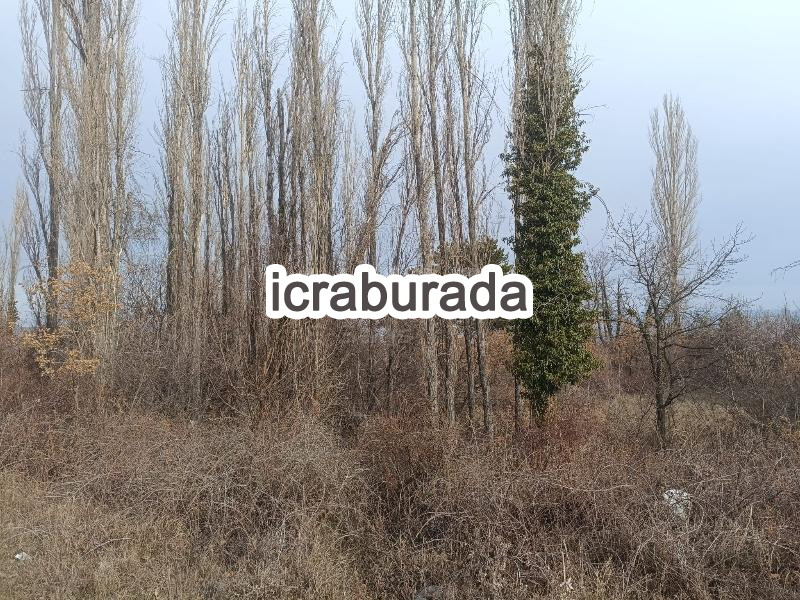 icralık  m2 Diger Çorum Laçin Büyüklaçin
