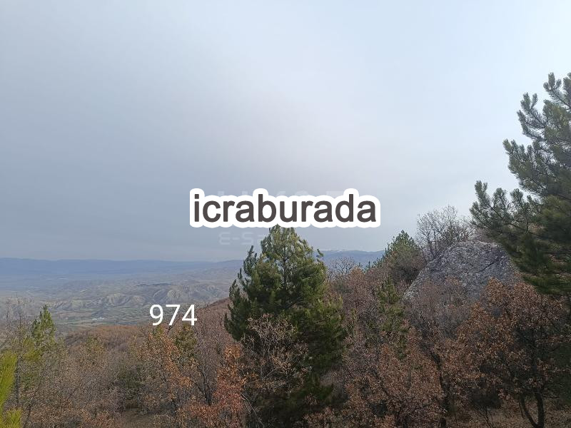 icralık  m2 Tarla Çorum Laçin Büyüklaçin