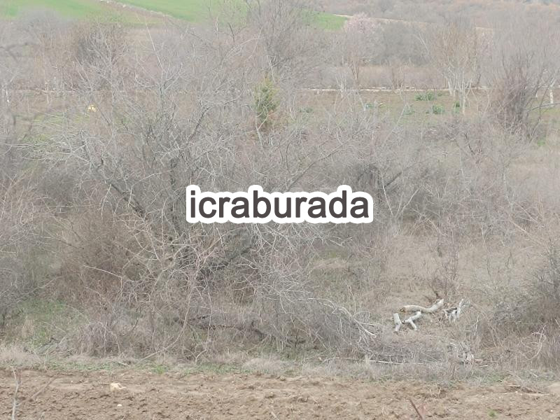 icralık  m2 Bag Çorum Laçin Büyüklaçin