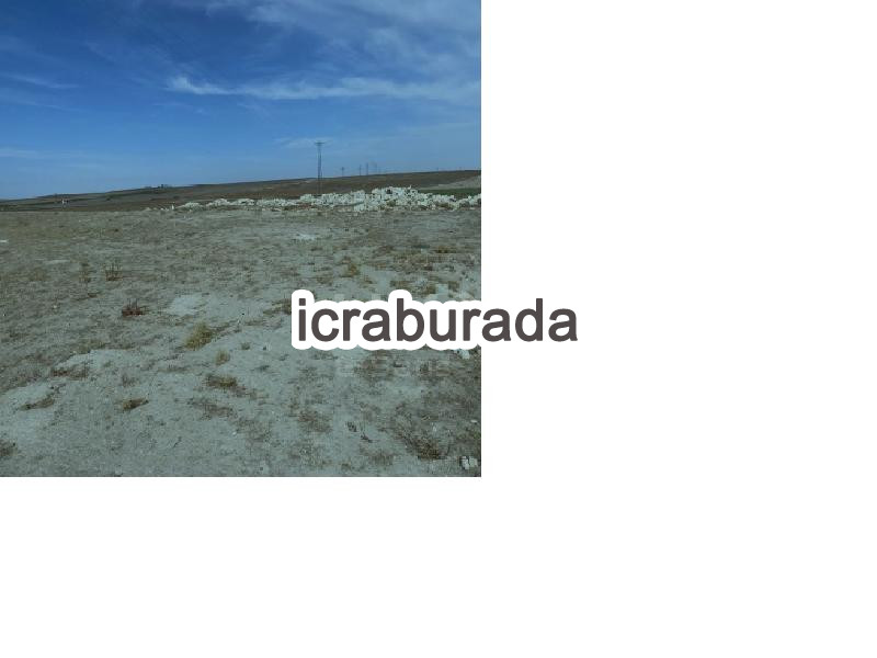 icralık  m2 Tarla Konya Ereğli Belkaya