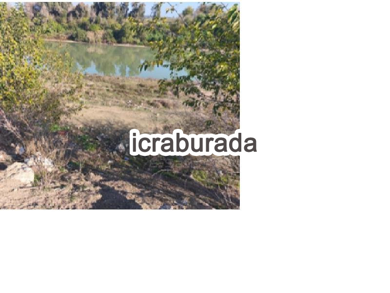 icralık  m2 Arsa Adana Ceyhan Mercimek