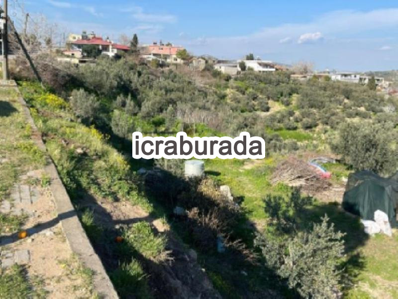 icralık  m2 Arsa Adana Ceyhan Sarimazi