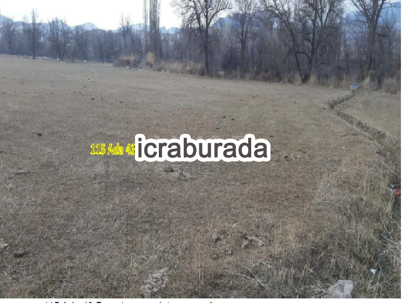 icralık  m2 Tarla Erzurum Narman Araköy