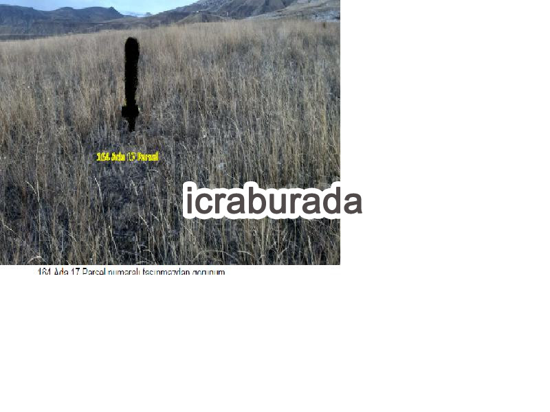 icralık  m2 Tarla Erzurum Narman Koçkaya