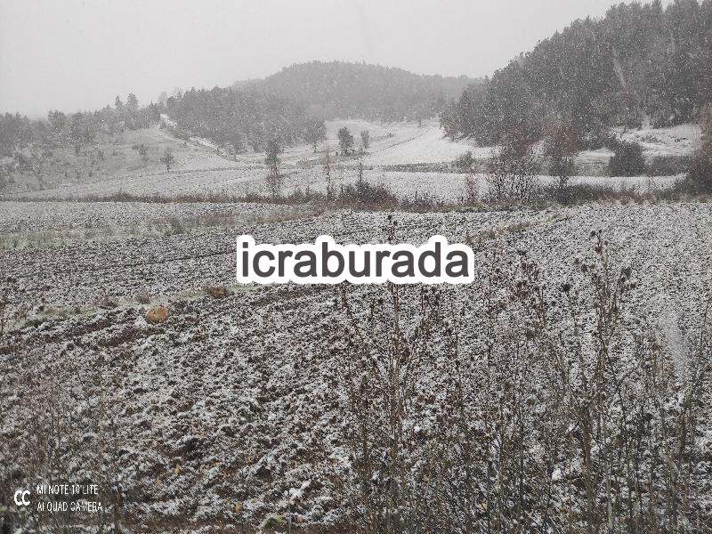 icralık  m2 Tarla Bilecik Bozüyük Saraycik