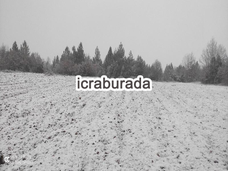 icralık  m2 Tarla Bilecik Bozüyük Saraycik