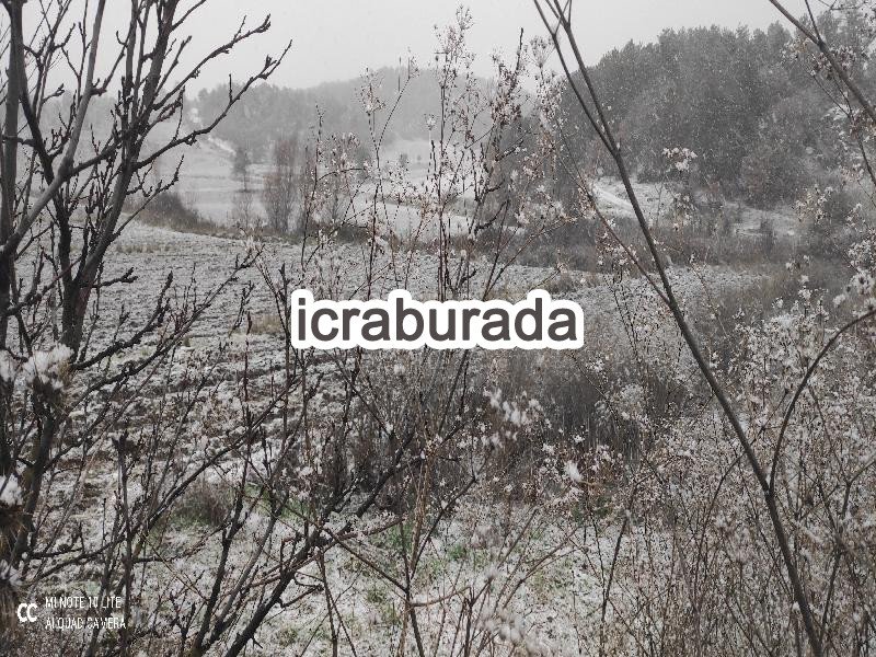 icralık  m2 Tarla Bilecik Bozüyük Saraycik
