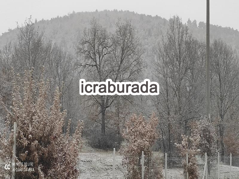icralık  m2 Tarla Bilecik Bozüyük Saraycik