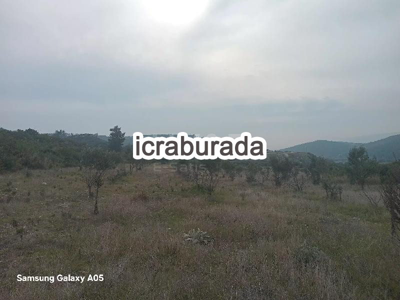 icralık  m2 Tarla İzmir Urla Demircili