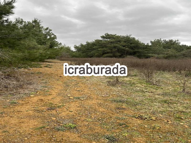 icralık  m2 Tarla Edirne Keşan Sazlidere
