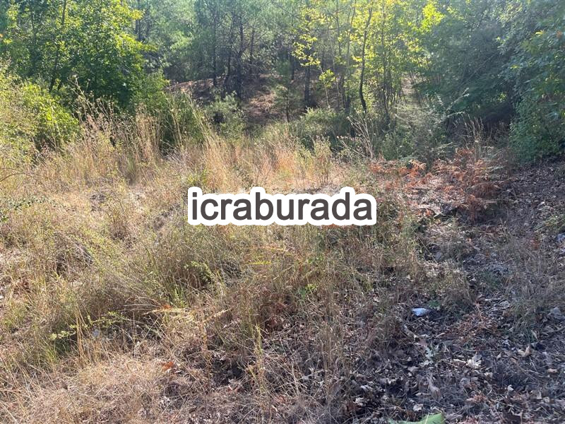 icralık  m2 Tarla Muğla Menteşe Yenibağyaka