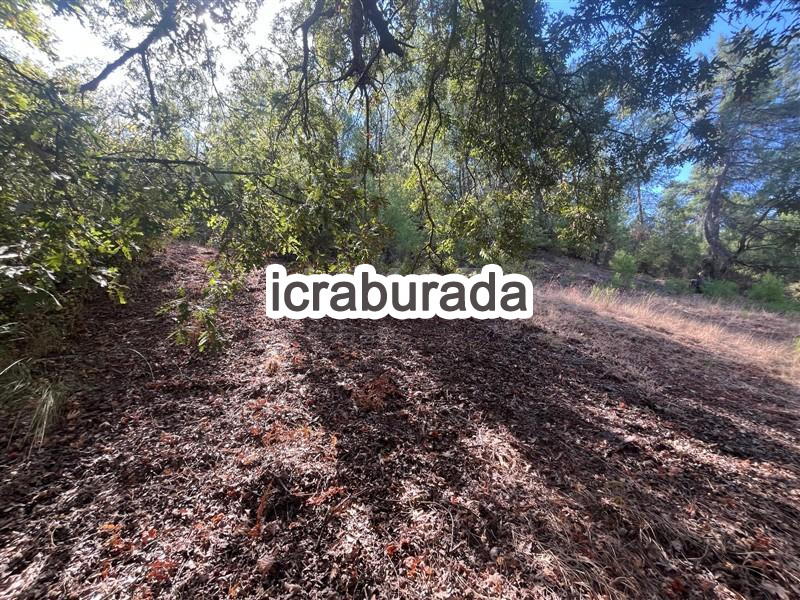 icralık  m2 Tarla Muğla Menteşe Yenibağyaka