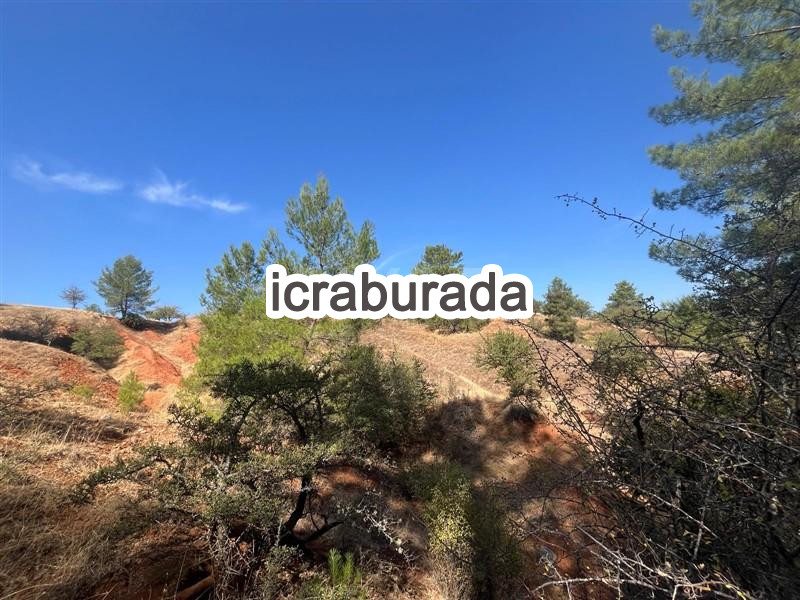 icralık  m2 Tarla Muğla Menteşe Yenibağyaka