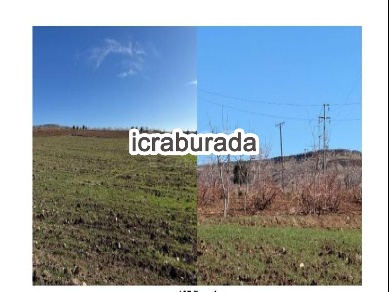 icralık  m2 Tarla Şanlıurfa Karaköprü Sancak