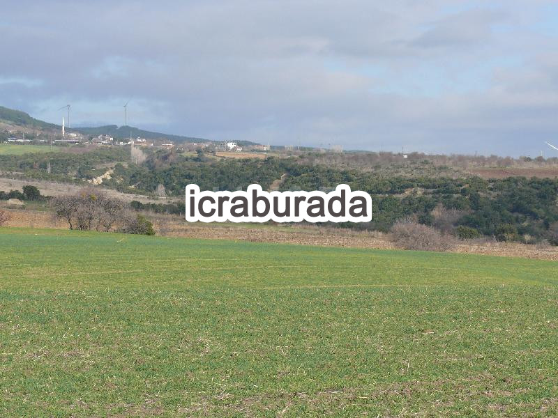 icralık  m2 Tarla Tekirdağ Şarköy Kizilcaterzi