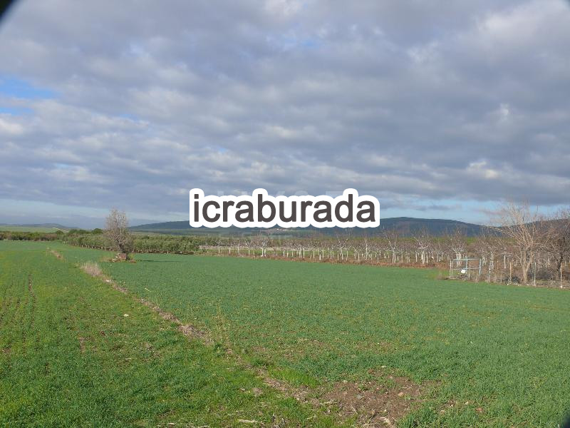 icralık  m2 Tarla Tekirdağ Şarköy Kizilcaterzi