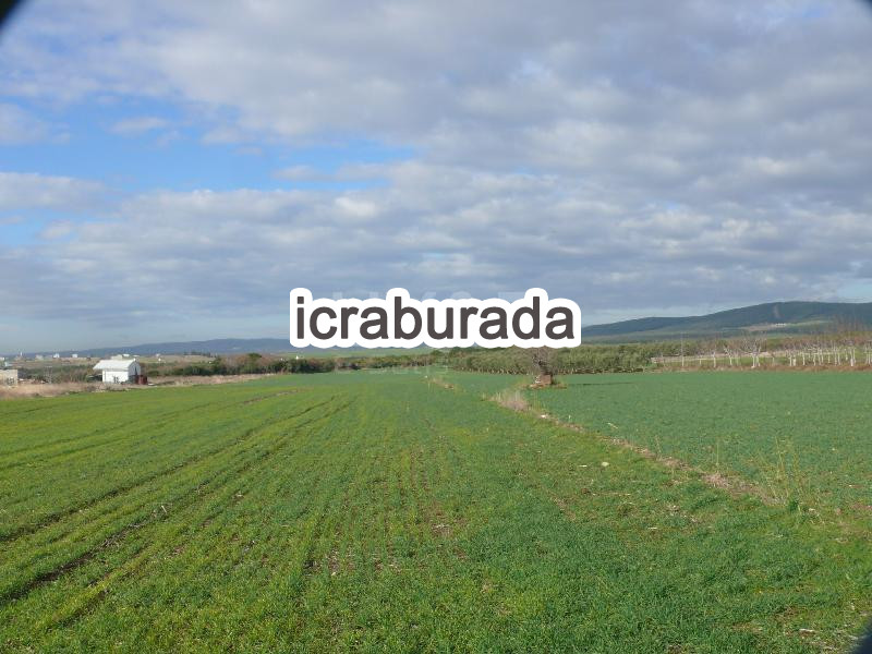 icralık  m2 Tarla Tekirdağ Şarköy Kizilcaterzi